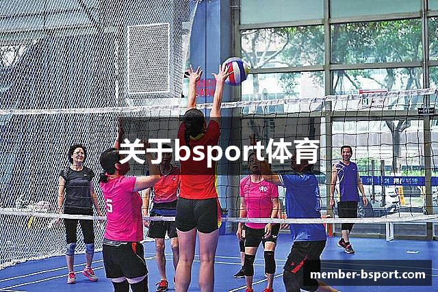 关于bsport体育